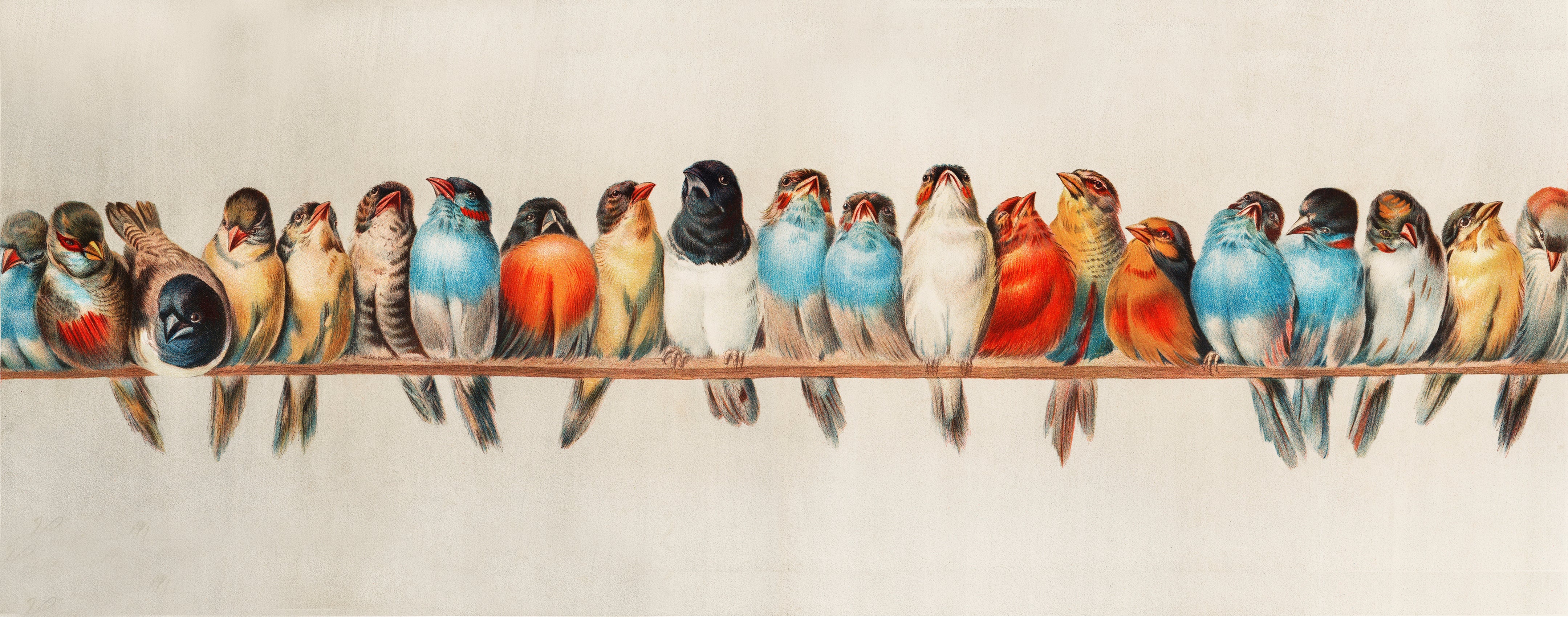 A Perch of Birds by Hector Giacomelli Vintage Reproduction Painting