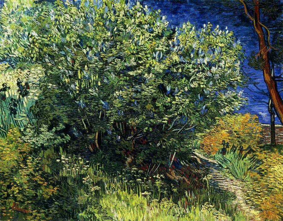 Lilac Bush, 1889 by Van Gogh Reproduction for Sale - Blue Surf Art