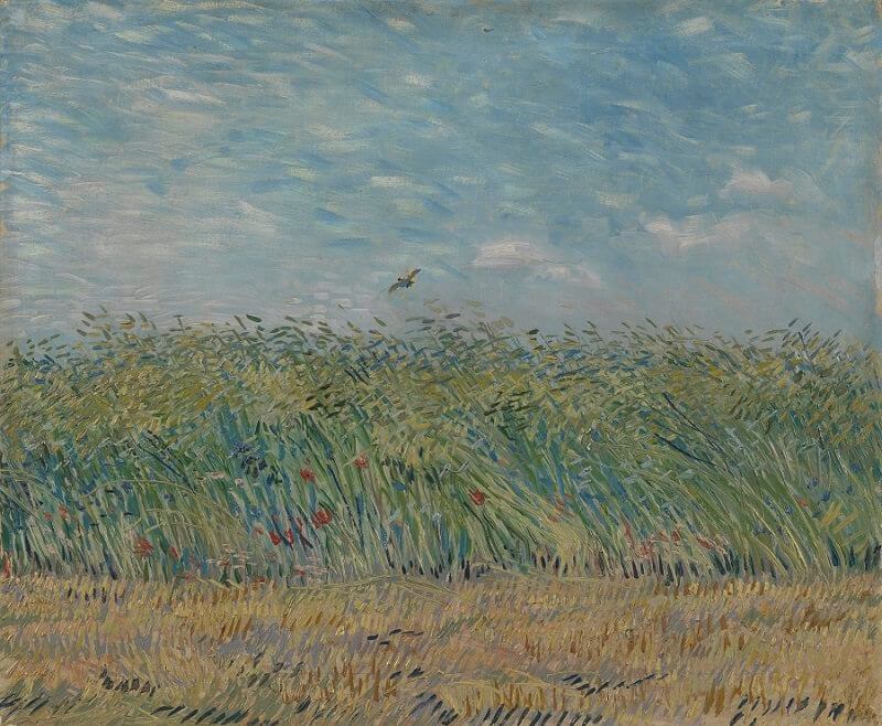 Wheat Field With a Lark, 1887 by Van Gogh Reproduction for Sale - Blue Surf Art