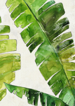 Beautiful Banana Plant Leaf Canvas Art, Wall Art Print