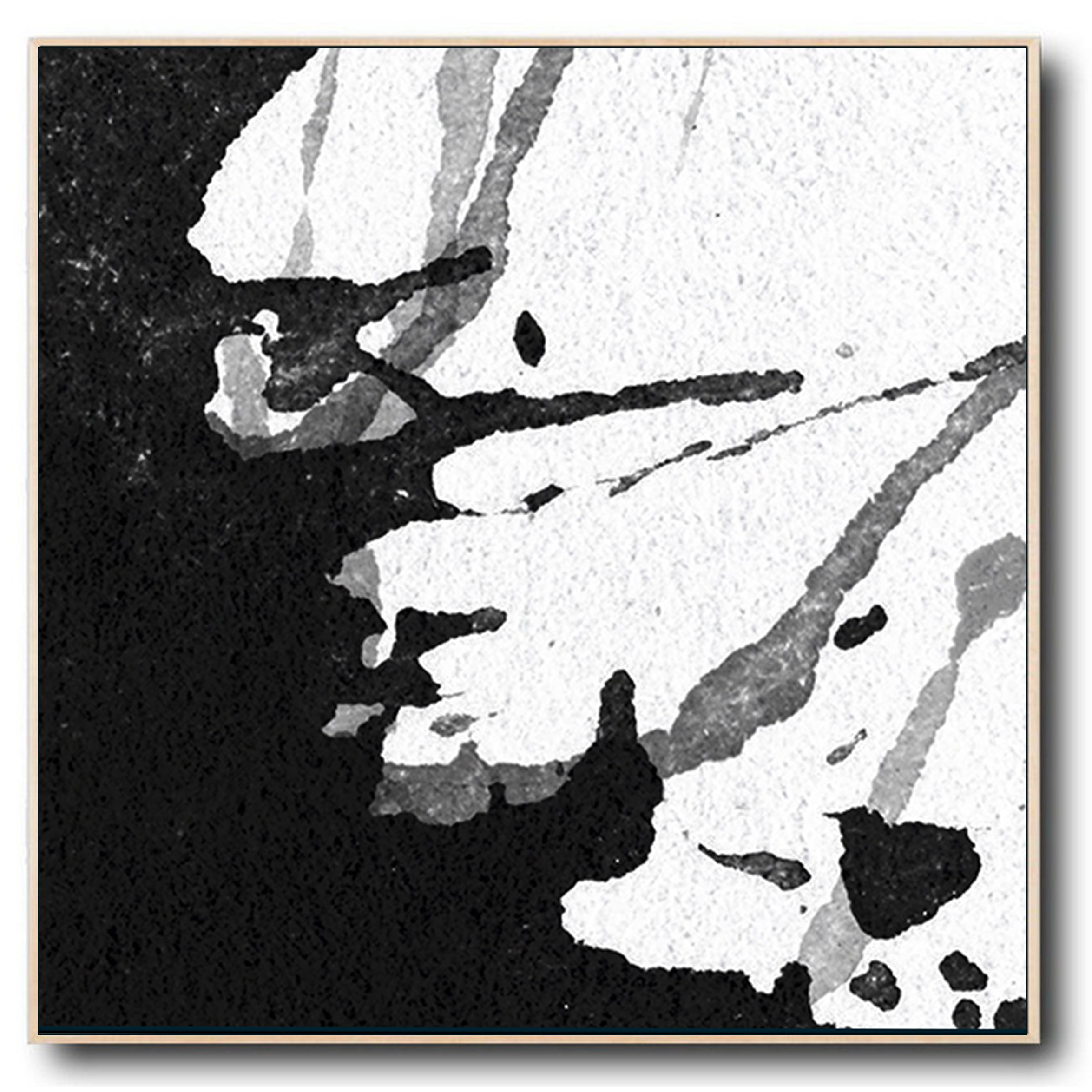Large Abstract Black and White Splash no. S24