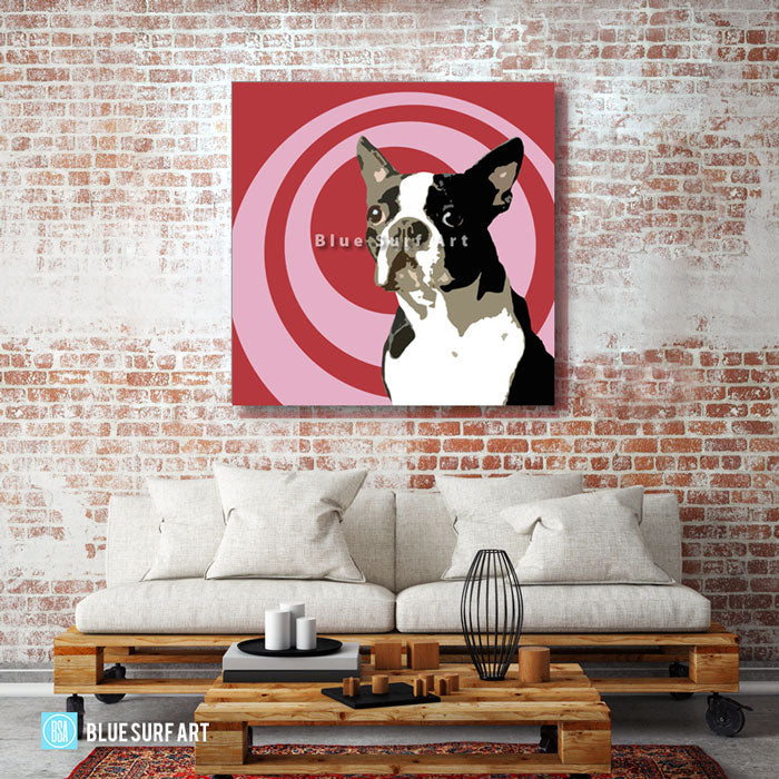 Boston Terrier