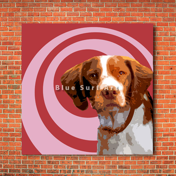 Brittany Spaniel