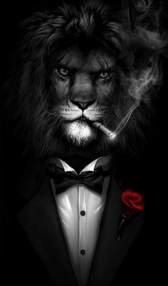 Do not argue with an idiot. He will drag you down!