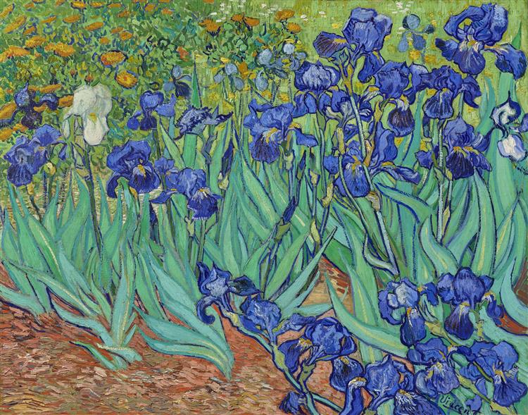 Hot Impressionist original oil on canvas painting of ''Blue iris'' 9 X 12, signed Fiona