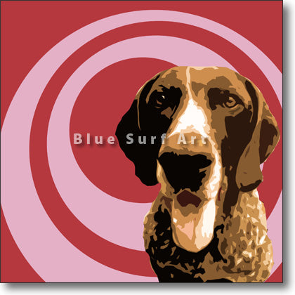 German Shorthaired Pointer