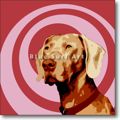 Weimaraner