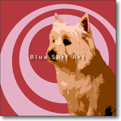 West Highland White Terrier