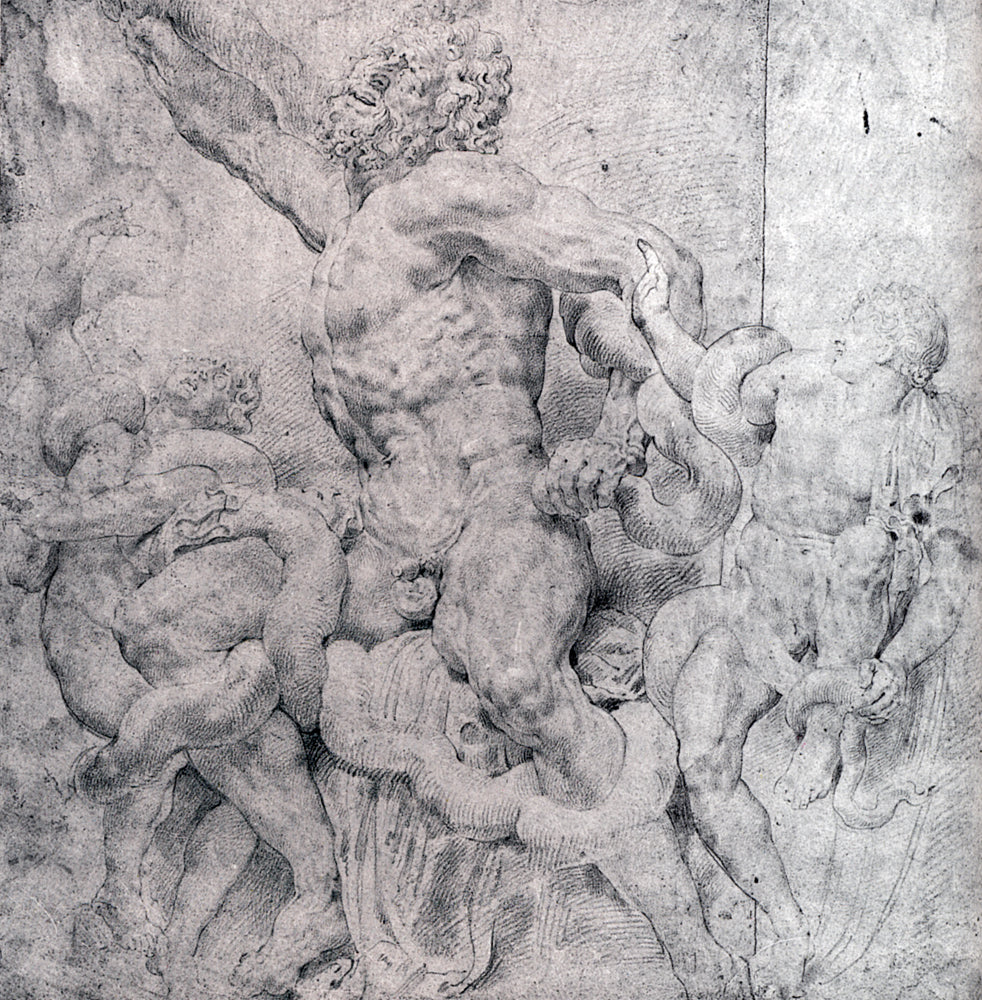 Laocoon and His Sons by Peter Paul Rubens Reproduction Oil Painting on Canvas