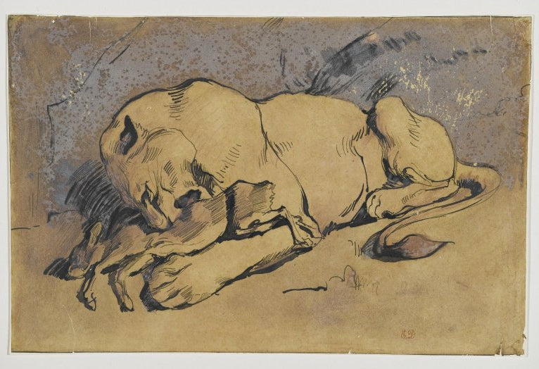 Lioness devouring a Rabbit by Eugène Delacroix Reproduction Painting by Blue Surf Art