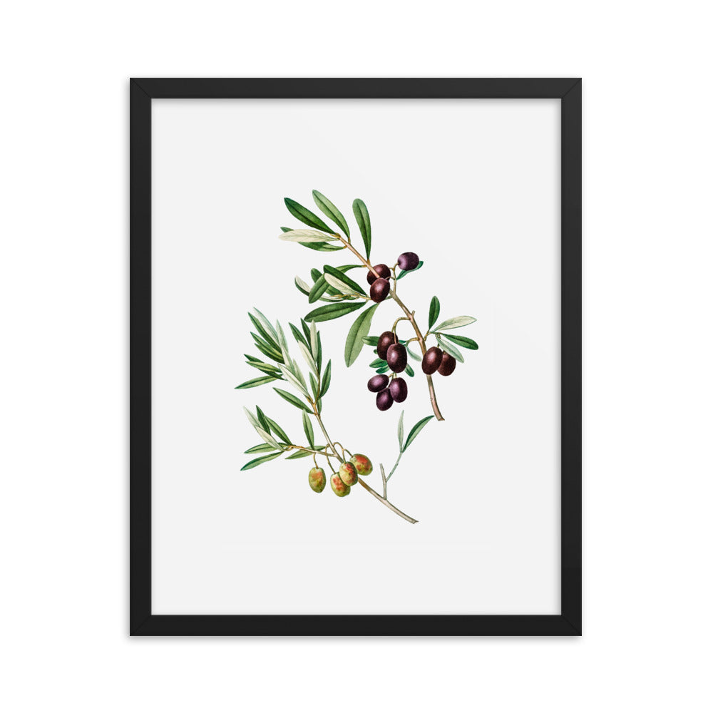 Framed Poster Green Olives with Leaves