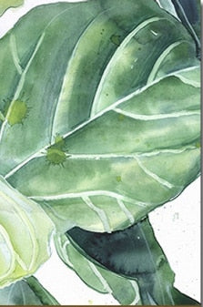 Scandinavian Style Tropical Plants Print