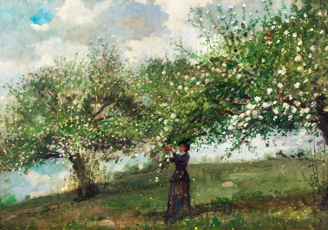 Girl Picking Apple Blossoms (1879) painting by Winslow Homer