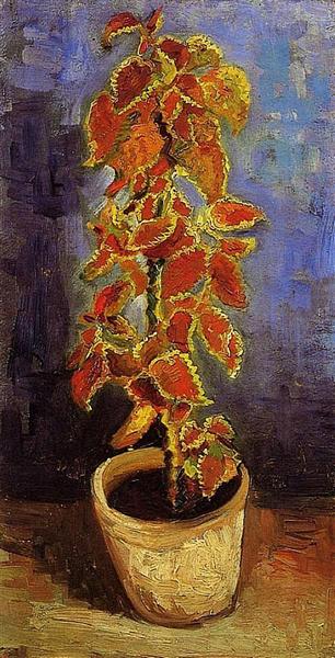 Coleus Plant in a Flowerpot (1886) by Van Gogh — Paris Still Life Artwork