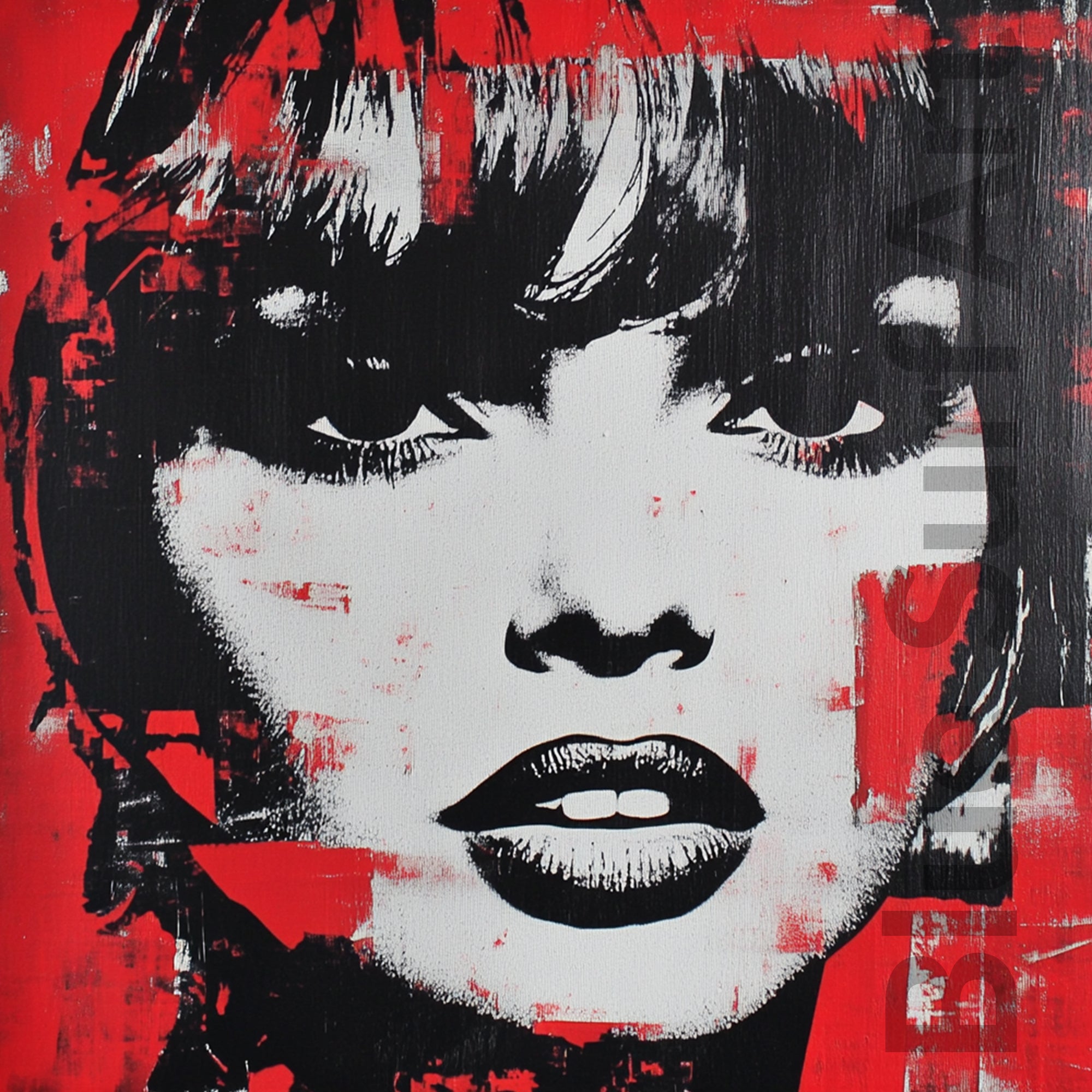 Artistic portrait with black and white details on a red background. Scarlet Muse | Fashion Pop Art Portrait | Blue Surf Art