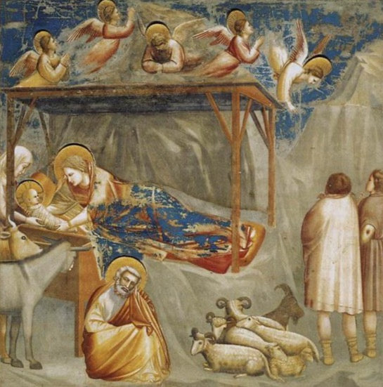 Nativity by Giotto di Bondone Reproduction for Sale by Blue Surf Art