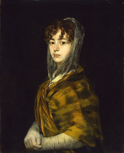 Senora Sabasa Garcia by Francisco Goya Reproduction for Sale