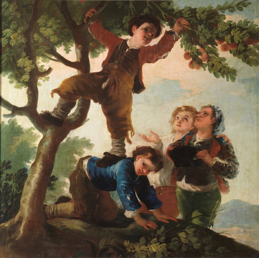 Boys picking Fruit by Francisco Goya Reproduction for Sale by Blue Surf Art, Goya's paintings