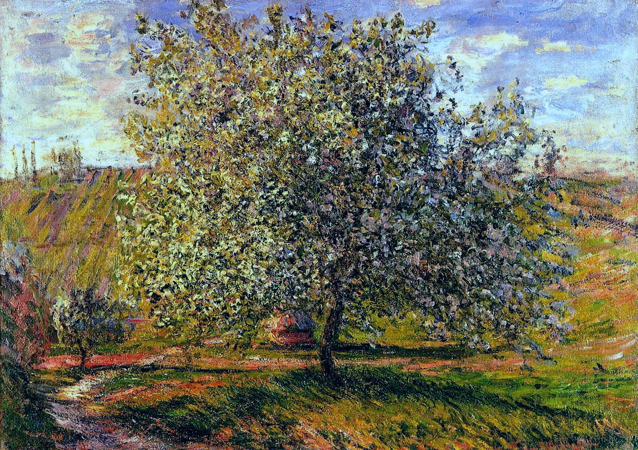 Tree in Flower near Vetheuil by Claude Monet. Blue Surf Art