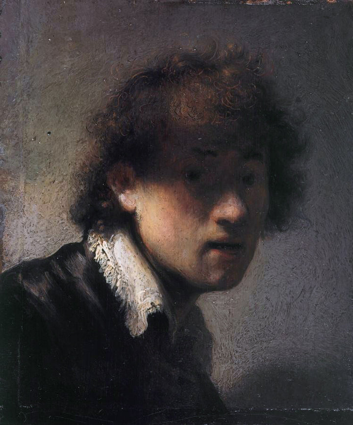 Self-portrait Lit from the Left Painting by Rembrandt Reproduction for Sale