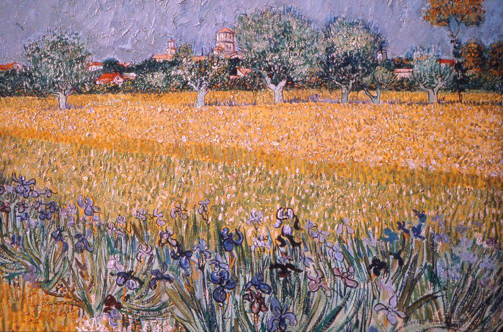Field with Irises near Arles, 1888 by Van Gogh Reproduction for Sale - Blue Surf Art
