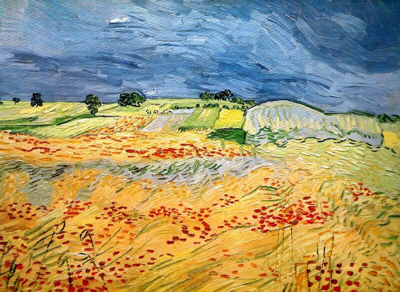 Fields with Blooming Poppies, 1890 by Van Gogh Reproduction for Sale - Blue Surf Art