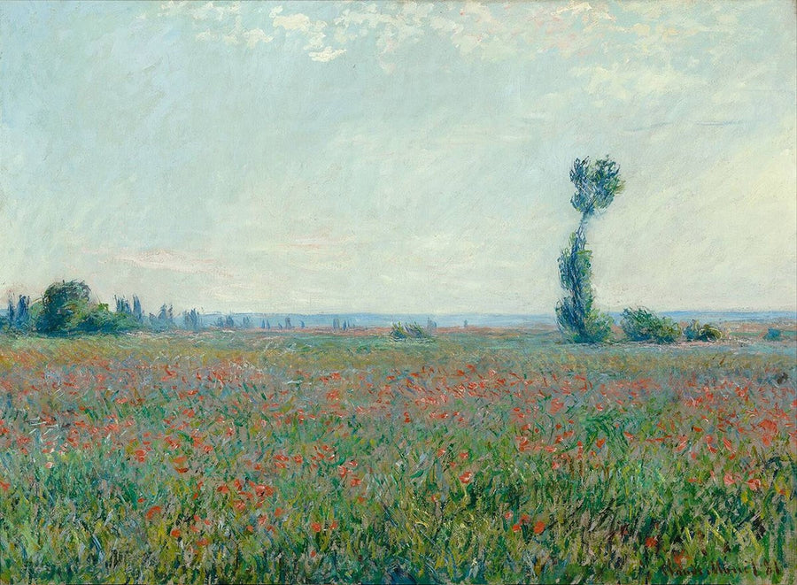 Poppy Field 1881 by Claude Monet, Monet Reproduction for Sale Blue Surf Art 