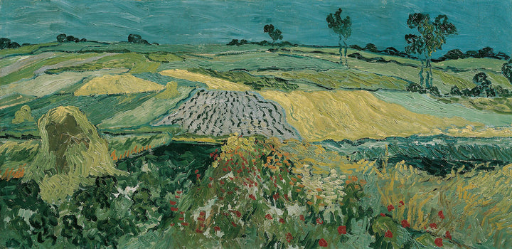 Wheat Fields near Auvers 1888