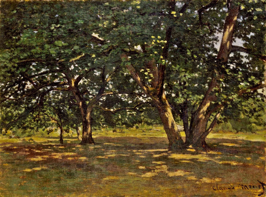 Fontainebleau Forest by Claude Monet