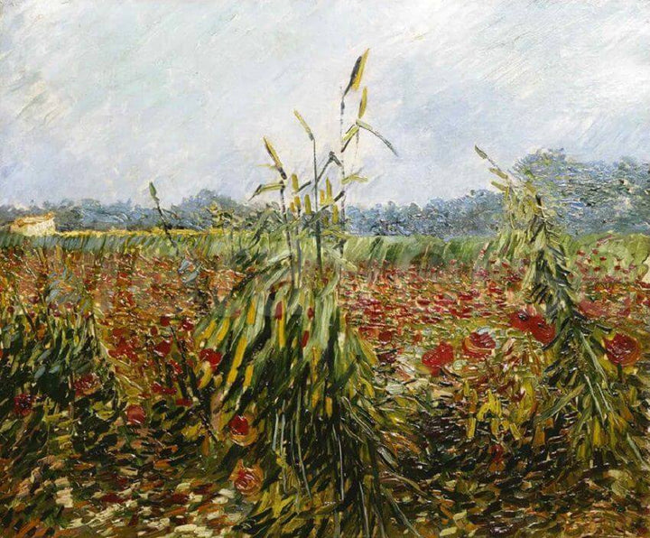 Green Corn Stalks, 1888