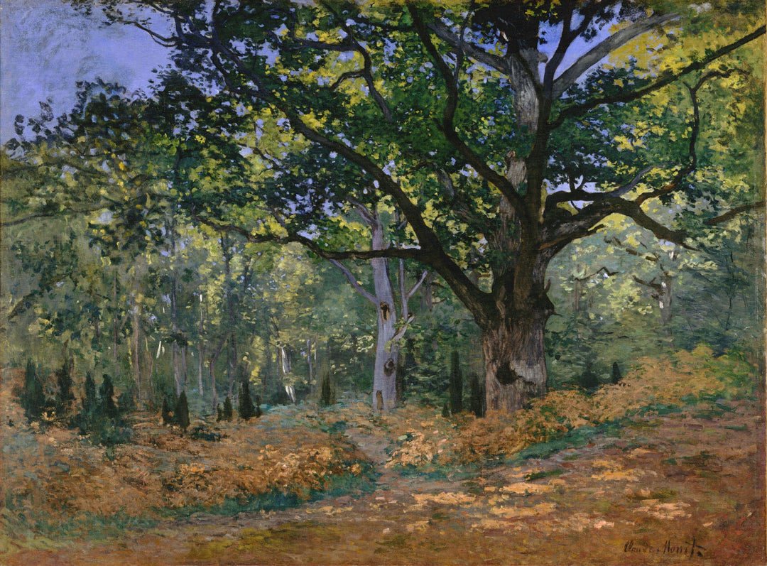 The Bodmer Oak, Fontainebleau by Claude Monet