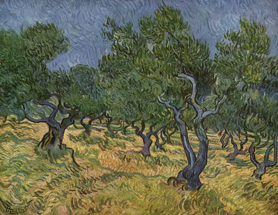 Olive Trees, 1889 by Van Gogh Reproduction for Sale - Blue Surf Art