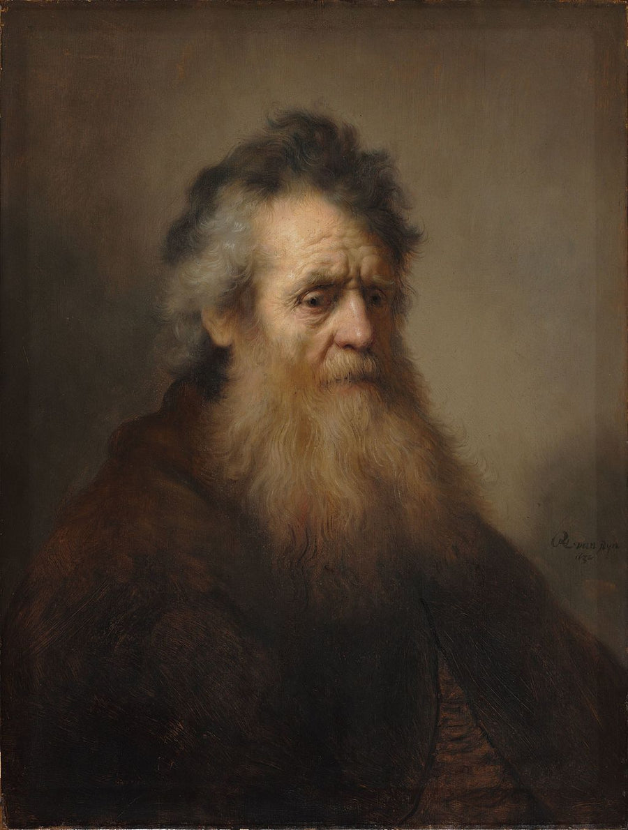 Bearded Old Man Painting by Rembrandt Oil on Canvas Reproduction by Blue Surf Art