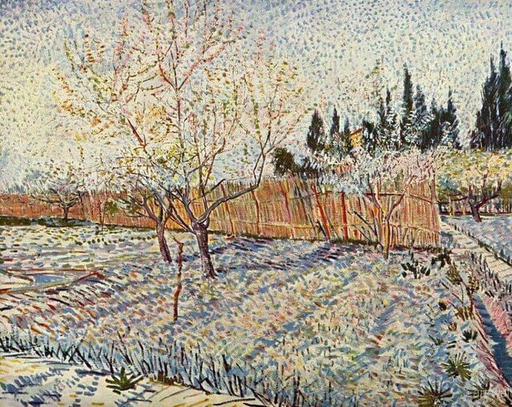 Orchard, Springtime, 1888 by Van Gogh Reproduction for Sale - Blue Surf Art