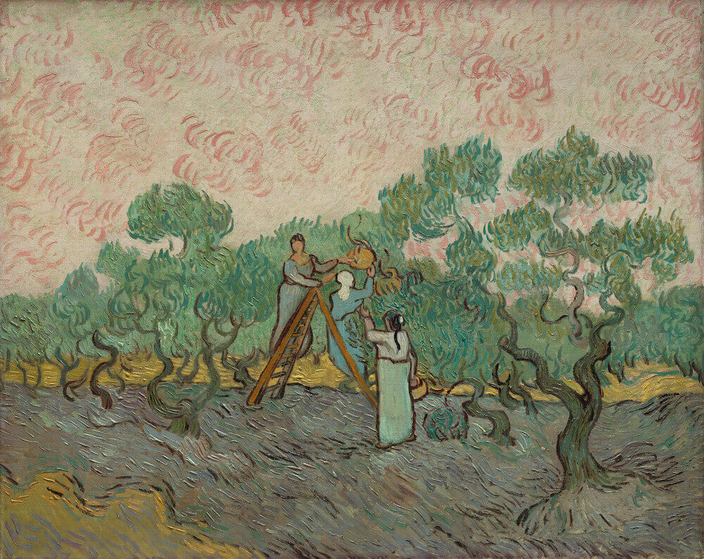 The Olive Picker, 1889 by Van Gogh Reproduction for Sale - Blue Surf Art