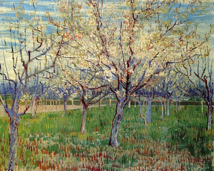 The Orchard, 1888 by Van Gogh Reproduction for Sale - Blue Surf Art
