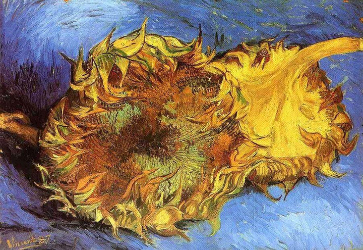Two Cut Sunflowers, 1887 by Van Gogh Reproduction for Sale - Blue Surf Art