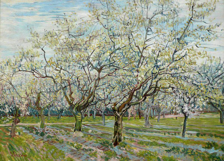 The White Orchard, 1888 by Van Gogh Reproduction for Sale - Blue Surf Art