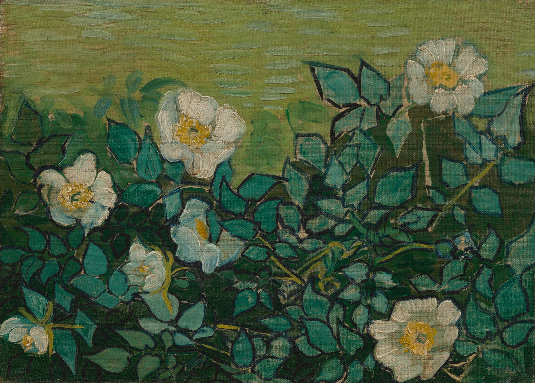 Wild Roses, 1890 by Vincent van Gogh Reproduction for Sale - Blue Surf Art