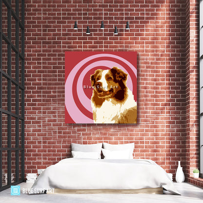Australian Shepherd