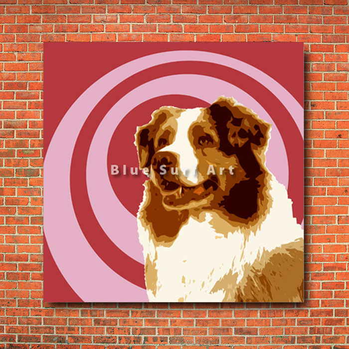 Australian Shepherd