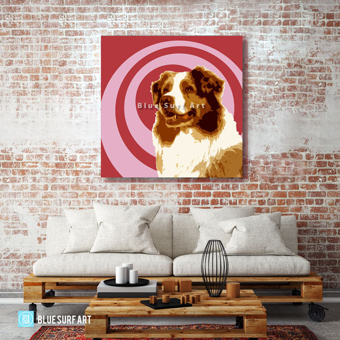 Australian Shepherd