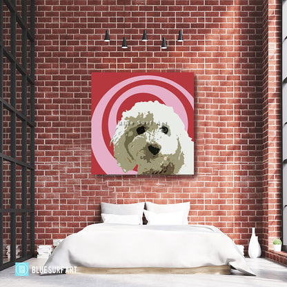 Bichon Frise