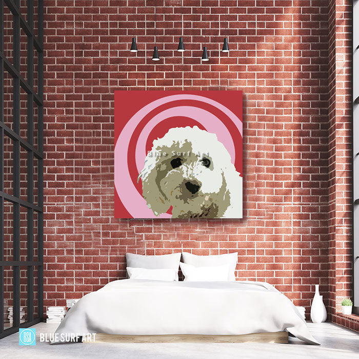Bichon Frise