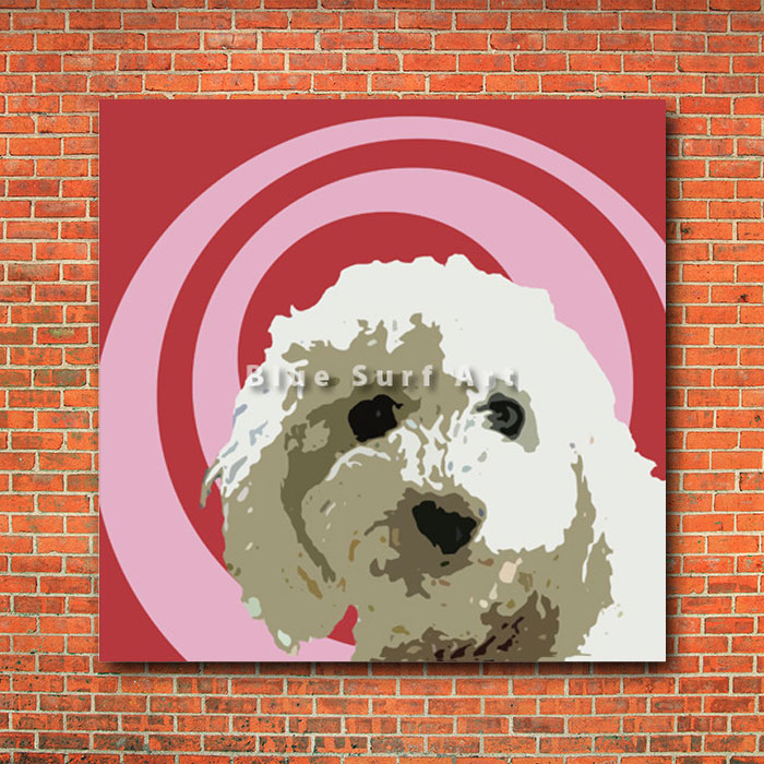 Bichon Frise