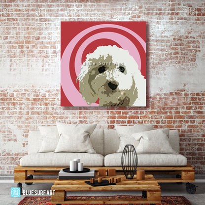 Bichon Frise