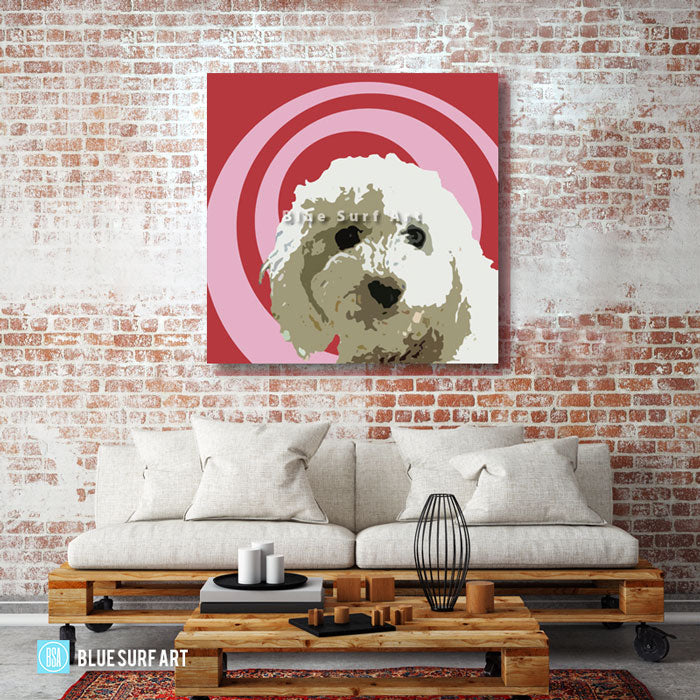 Bichon Frise