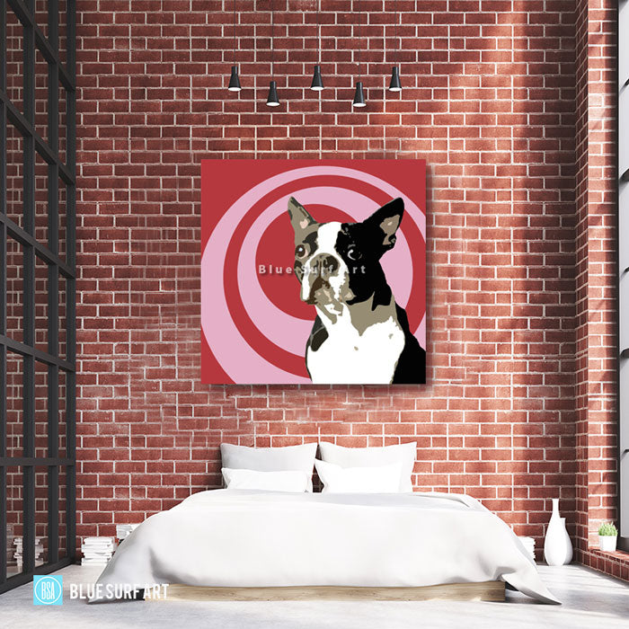 Boston Terrier
