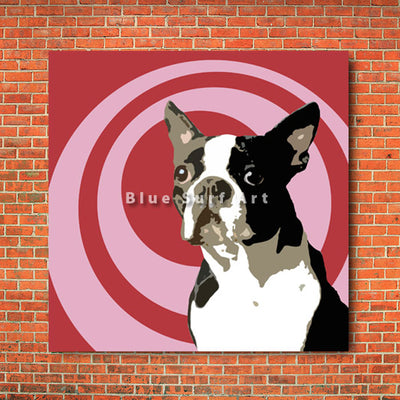 Boston Terrier