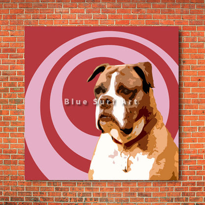 Boxer